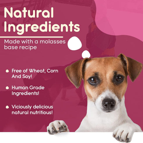 Girl Happy Birthday Dog Bone | Molasses Based Recipe with Human Grade Ingredients Wheat, Corn, and Soy Free | 100% Made in USA Edible Dog Bone for...