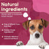 Girl Happy Birthday Dog Bone | Molasses Based Recipe with Human Grade Ingredients Wheat, Corn, and Soy Free | 100% Made in USA Edible Dog Bone for...