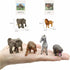 Small Montessori Animal Figures with Flash Cards, Realistic Animal Figurines Toys, Montessori Materials Homeschool Preschool Science Educational M...