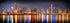 Chicago Skyline 2022 Night BORDERLESS UNFRAMED Photo Poster Print Color Downtown 11.75 inches x 36 inches Archival Photographic Panorama Picture...