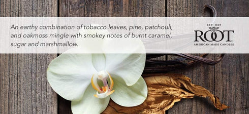 Root Candles Honeycomb Traveler Scented Beeswax Blend Candle, Tobacco Vanilla 4-Ounce...