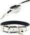 Metal Buckle Pet Collar and Leash Set with Bell Suit for Cats or Puppy Dogs White/Black/Red/Pink/Blue/Brown (S (Collar + Leash), White)...