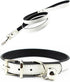 Metal Buckle Pet Collar and Leash Set with Bell Suit for Cats or Puppy Dogs White/Black/Red/Pink/Blue/Brown (S (Collar + Leash), White)...