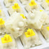 DRAOZA Gateron Milky Yellow Pro,5 Pin Switches pre lubed for MX Mechanical Gaming Keyboard?36pcs Milky Yellow?...