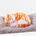 Adorable Orange Cat Plushies Gifts -7 Inches Stuffed Animal Plushie -Send Beautiful Square Gift Bag Cute Toy Gift for Boys and Girls?Christmas Bir...