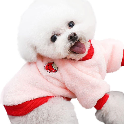Puppy Dog Clothes Winter Sweater Warm, Flannel Velvet Pet Cat Cute Fruit Fleece Teddy Bichon Pomeranian Small Dog, Ideal Gift for Pet on Christmas...
