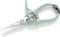Modern Sprout Pruning Shears for Gardening, Herb Snips, Flower Cutting Scissors, Indoor Plant Shears, Lightweight, Ergonomic, Carbon Steel Blade, ...