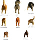 8Pcs Add Some Humor and Funny to Your Fridge with Dog Butt Magnets - Perfect for Home Refrigerator Magnets for Adults or Kids (Dog Butts)......
