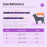 Dog Collars with Buckle Adjustable for Cute Girl Female Boy Dogs,Special Soft and Fancy Dog Pet Collar with Flower Design for Small Medium Large D...