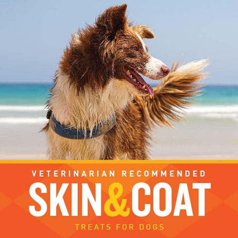 VetIQ Skin and Coat Supplement for Dogs, Helps Maintain Healthy Skin and Shiny Coat, Hickory Smoke Flavor Dog Chew, Made in The USA, 60 Count...