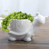 GeLive Tortoise Succulent Planter Turtle Plant Pot Animal Fun Vase Window Box Cute Home Decoration, 5 Inch, Indoor Outdoor...