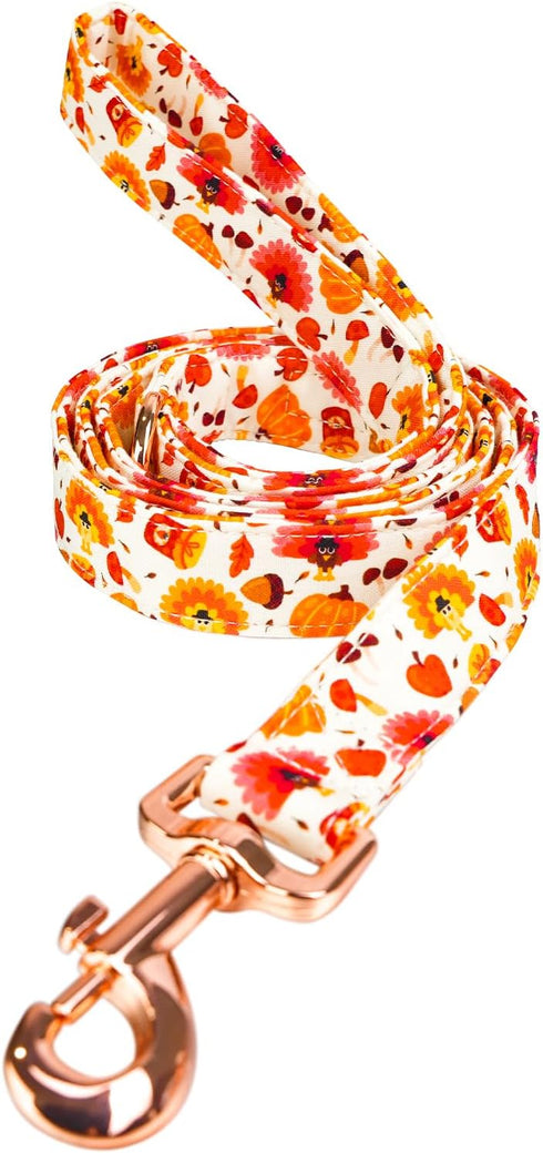 Dog Leash Pumpkin and Turkey Pattern - Durable, Stylish Thanksgiving Pet Leash, Available in Small, Medium and Large, Daily Walking Puppy Leash, M...