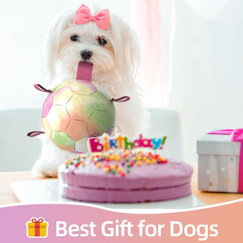 Dog Toys Soccer Ball with Straps, Puppy Balls Dog Balls for Small Medium Dogs, Dog Water Toys Pool Toys, Puppy Dog Birthday Gifts, Rainbow?6 Inch?...