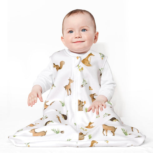 david's kids Micro Fleece Baby Sleep Sack 0-6 Months, Soft Baby Wearable Blankets with 2-Way Zipper, 2 Pack Sleeping Bags for Infant Newborn Boys ...