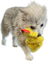 Chicken and Egg Crinkle Squeaker Toys - for Dogs and other Small Pets...