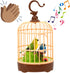 Mini Voice-Activated Birds Birdcage Toys, Chirping & Wings Fluttering Parrot Animals Toy Gifts for Baby Toddler Kids Children (526B)...