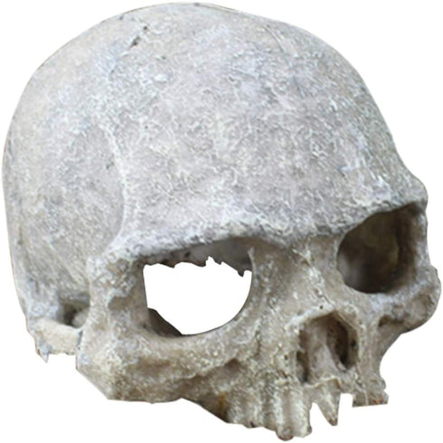 Hewnda Aquarium Decor Resin Artificial Head Skeleton Decoration - Aquarium Otaru Aquarium Decorative Cave Landscape Pet Reptile House...