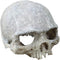 Hewnda Aquarium Decor Resin Artificial Head Skeleton Decoration - Aquarium Otaru Aquarium Decorative Cave Landscape Pet Reptile House...