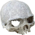 Hewnda Aquarium Decor Resin Artificial Head Skeleton Decoration - Aquarium Otaru Aquarium Decorative Cave Landscape Pet Reptile House...