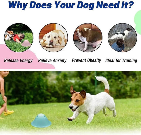Gerrit Dog Treat Chew Toy, Dog Treat Toys Interactive Entertainment & Mental Stimulation, for Small, Medium, Large Breeds for Mental Stimulation, ...