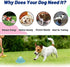 Gerrit Dog Treat Chew Toy, Dog Treat Toys Interactive Entertainment & Mental Stimulation, for Small, Medium, Large Breeds for Mental Stimulation, ...