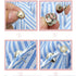 40 Style Cute Enamel Lapel Pin Set,Mini Brooch Pin Badges Cover Up Buttons for Women Shirts,Dresses,Cardigan Collar Safety Pins,Junk Charms Access...