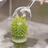 Hengkainsing Brush-Up Glass Brush with Suction Cup Upright Stays in Sink Bristle Scrub Kitchen Bottle Cleaning Washing (Gray)...