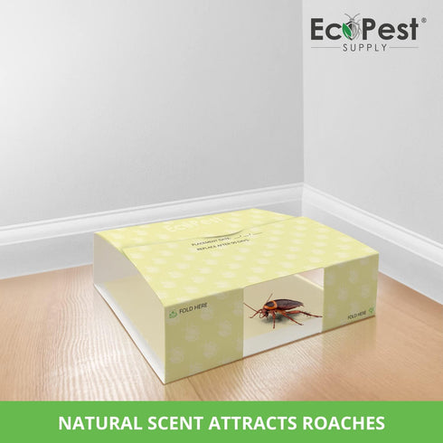 Roach Trap – 20 Pack | Sticky Indoor Glue Traps for Roaches and Other Bugs and Crawling Insects | Adhesive Cockroach Motel, Bait Trap, Monitor, Ki...