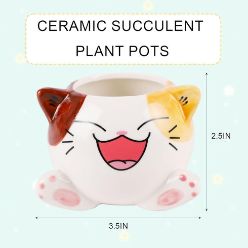 Cute Cat Succulent Plants Pots - Small Ceramic Planter Pots with Drainage Hole,Creative Cactus Flower Plant Pots,for Home Office Desktop House Gar...