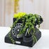 Yardwe 1pc Plant Pot Animal Succulent Planter Pots Telephone Shaper Flowerpot Retro Flower Pot Modern Cute Flower Pots Vintage Flower Pot Garden F...
