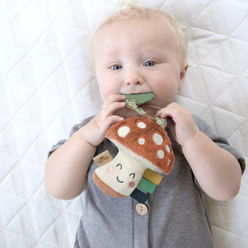 Itzy Ritzy Infant Toy & Teether - Itzy Pal Baby Teething Toy includes Lovey, Crinkle Sound, Textured Ribbons & Silicone Teether Toy for Newborn (M...