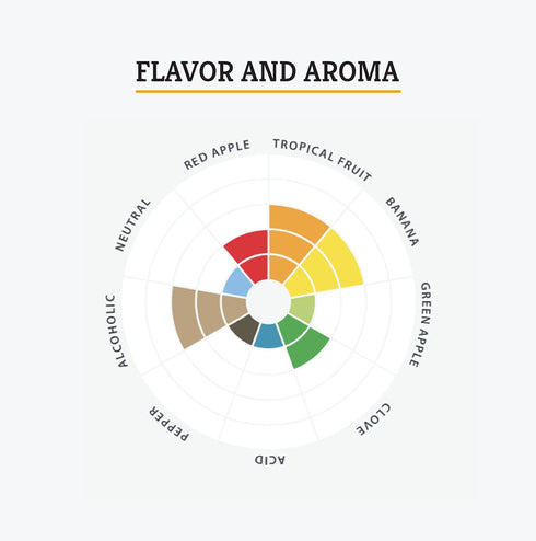 Craft A Brew - LalBrew Abbaye™Belgian Ale Yeast - Belgian Ale Dry Yeast - For Craft Blondes, Dubbels, Tripels & Quads - Ingredients for Home Brewi...