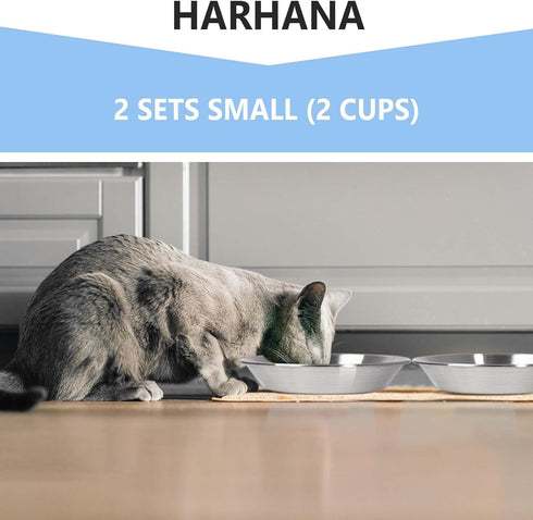 Whisker Fatigue Cat Bowl, SUS304 Stainless Steel Cat Bowls for Food and Water for Medium Pets -Set of 2...