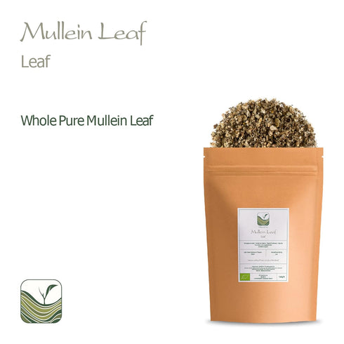 Mullein Leaf Organic Tea Herb - Gordolobo Tea Verbascum - Mullen Leaf Tea Mullien Leaf Mulein Leaf Mullier Mullin Leaf Mulien Muillen Tea Mullein ...