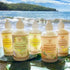Island Soap & Candle Works Botanical Liquid Hand Soap - Vegan Hand Soap for Men and Women - Luxury Skincare for Bathroom - Hawaiian Gifts for Sens...