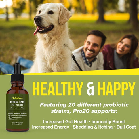 Probiotics for Dogs and Cat Probiotics - 120 servings (1/2ml). 100% Natural Digestive Enzymes for Gas Relief and Healthy Digestion. Prebiotics via...