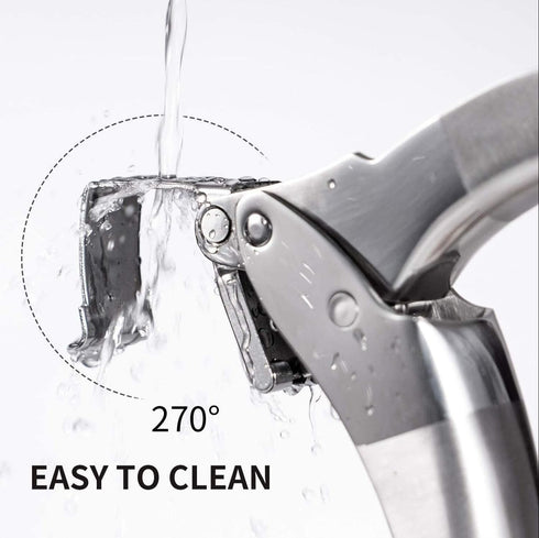 Premium Garlic Press, Stainless Steel, Easy to Clean Garlic Mincer, Durable Construction and Rust Proof...