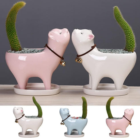 White Cat Ceramic flower pot cute animal basin cactus succulent plant basin table top balcony decoration (White Cat)...