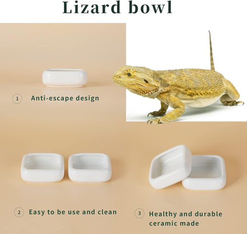 Reptile Food Bowls -Ceramic Square Reptile Water Food Dish, Pet Food Bowl for Lizards, Young Bearded Dragons, Small Snakes, Gecko Tortoise Spider ...