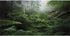 AWERT Foggy Forest Terrarium Background Green Tree Reptile Habitat Background Tropical Rainforest Aquarium Background 48x24 inches...
