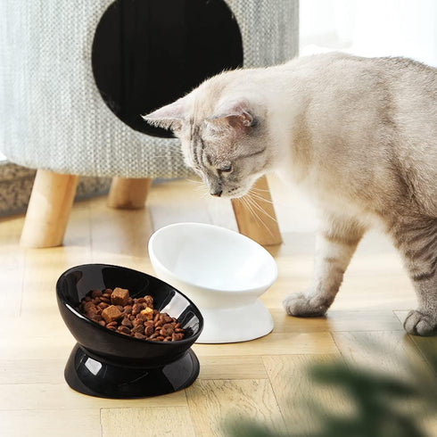 Sweejar Ceramic Raised Cat Bowls, Slanted Cat Dish Food or Water Bowls, Elevated Porcelain Pet Feeder Bowl Protect Cat's Spine, Stress Free, Backf...
