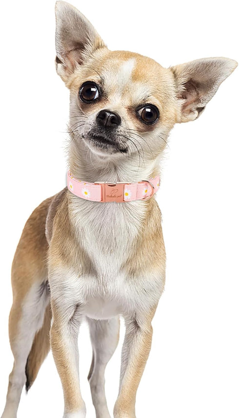 Cotton Dog Collar for Small Dogs Adjustable Cute Boy Girl Dog Collars with Metal Buckle Baby Pink Daisy Dogs Collar S...