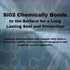 Stainless Steel and More - Stainless Steel Cleaner and Polish with Si02 Ceramic sealer to resist fingerprints, smudges and water spots...