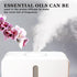 Eucalyptus Essential Oil Perfume Organic Plant Pure Grade Eucalyptus Oil for Diffuser,Car,Candle Making,Cleaning,Bedroom,Perfumes,Humidifier 2 Pac...