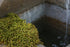SuperMoss (21580) Sheet Moss Dried, Natural, 2 Ounce...