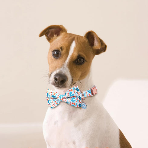 Dog Collar with Bowtie, Adjustable Dog Collars, Pet Collar with Metal Buckle and Cute Charms, Personalized Dog Collars for Medium Dogs (M?13-20"?,...