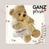 Get Well Soon Bear in Cream Robe with Blanket Soft Plush Bear Get Well Soon Gifts for Women, Men, Kids, Girls and Boys Feel Better Gifts...