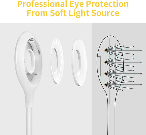 Clip on Light for Bed & Desk, Reading in Bed, Dorm, Flexible Gooseneck, Battery Operated Rechargeable Clamp Lamp for Headboard, Eye-Caring LED Lig...