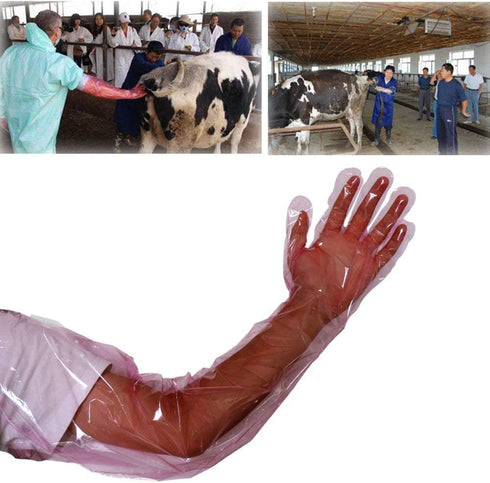 50Pcs Disposable Soft Plastic Film Gloves, Vet Gloves Palpation Sleeve Artificial Insemination Gloves 35.5inch Full Arm Gloves Livestock Gloves fo...
