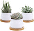 6pcs 3 inch Bamboo Round Plant Saucer, Mini Flower Pot Tray for Cactus Plant Pot Flower Pot Container Planter Bonsai Pots,no Plants Pot...